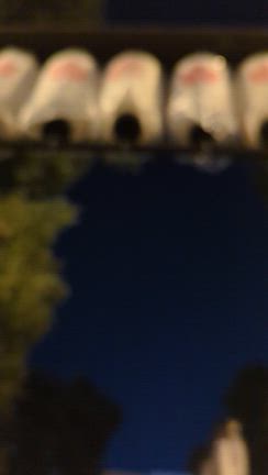 12月19日金曜日の記事動画