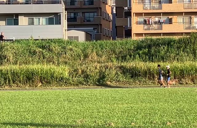 センバルチャンスの記事動画