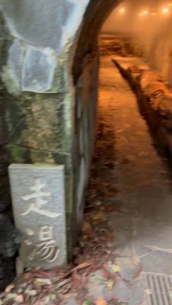 熱海の穴場な観光スポットの記事動画