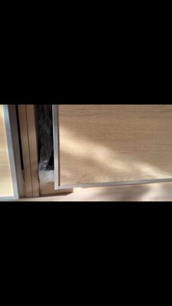 エルメスちゃんの記事動画