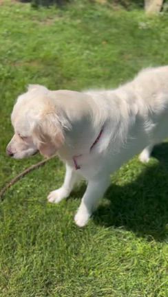 初プールの記事動画