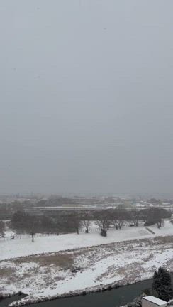 初の雪だるま＆メロディー♬（2020.5.3 玉置浩二ショー）の記事動画