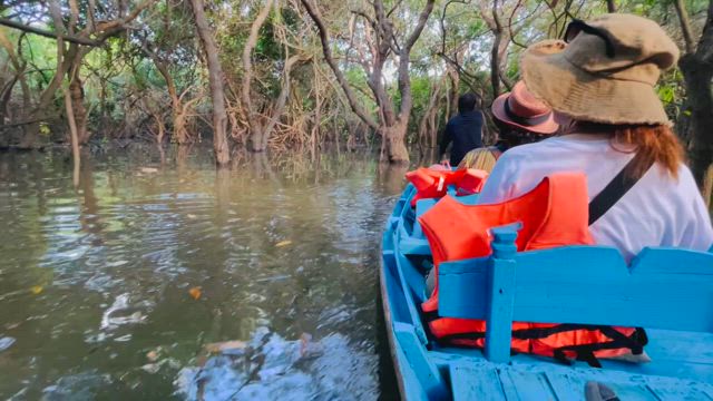 トンレサップ湖でマングローブ村に入って来ました/www.memokaontravel.comの記事動画