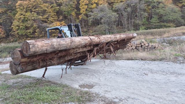風と木のぬくもりの記事動画