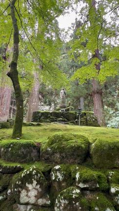 修行道場「永平寺」と映えスポット「越前大仏」の記事動画
