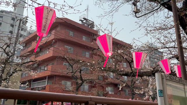 あきらこさんのプロフィールページ