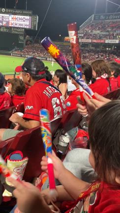 野球観戦の記事動画