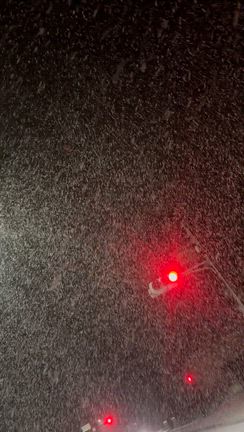 本日はいろいろ。の記事動画