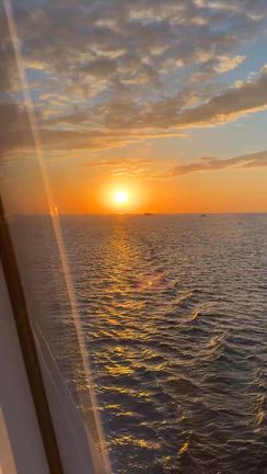 いのちの記事動画