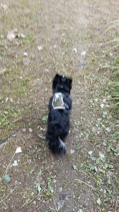 　　　ハーネス新の記事動画