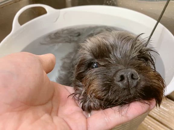 温浴写真　かなえの記事動画