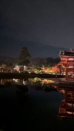 水面に映る「平等院鳳凰堂」ライトアップの記事動画