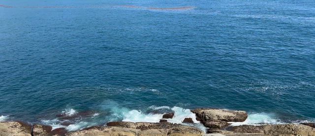 一枚　シリーズの記事動画