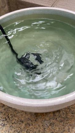 大大大吉日の記事動画