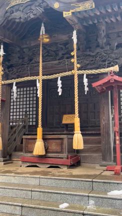 立春の記事動画