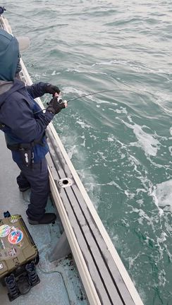 デカサワラ&マダイ　4月5日の記事動画