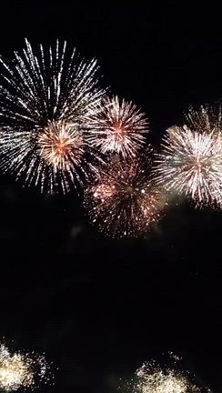 秋華火3の記事動画