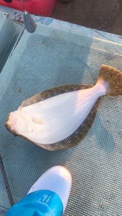 2025/12/17(水)の記事動画