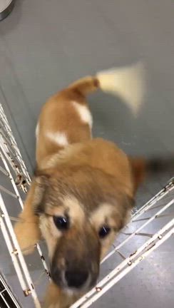 teamKARだより2024年10月号その2の記事動画