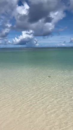 姫の旅の記事動画