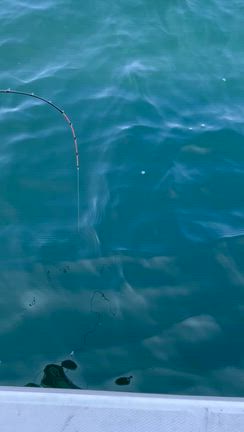 3月12日　タイラバの記事動画