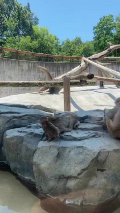 家族の時間の記事動画