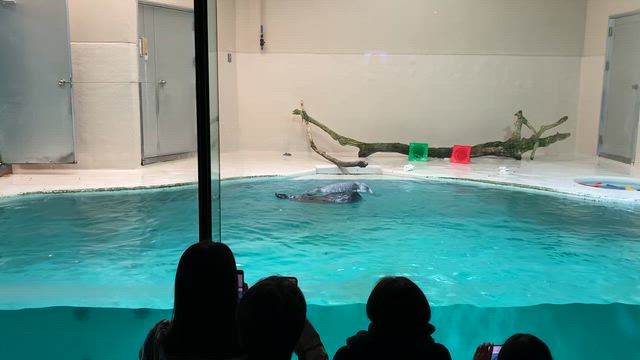 ひろりんさんのプロフィールページ