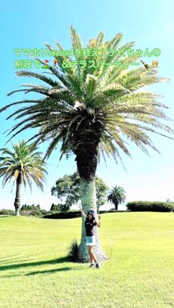 2024/10/18の記事動画