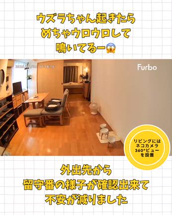 ★ シニア猫のお留守番が心配…Furboで見守り生活はじめましたの記事動画