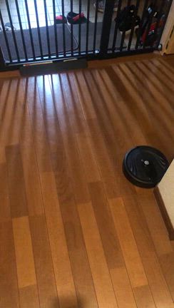 2025/10/13の記事動画