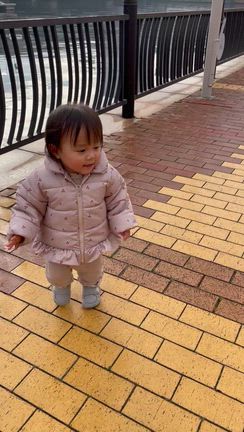 朝のお散歩の記事動画