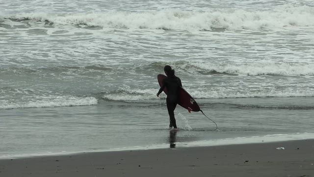 FLAX TORO2、3名のテストクリップ、信頼のdeadkooksの記事動画