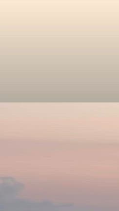 見に行きたかった、、、の記事動画