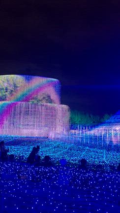 【三重観光】念願のなばなの里イルミネーション♡の記事動画