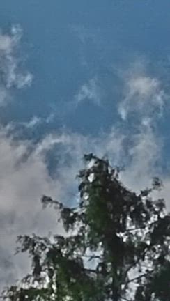 整えの促しと変化の予兆の記事動画