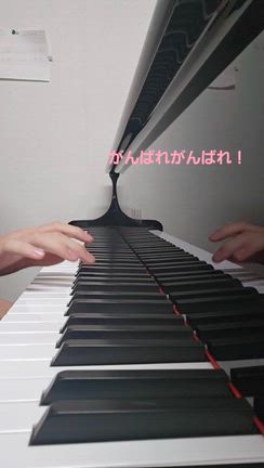 電子ピアノの記事動画