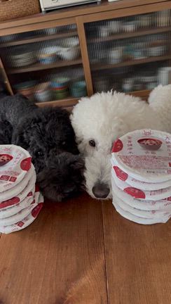 お赤飯の記事動画