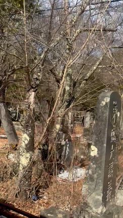 御嶽山麓への記事動画