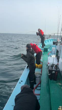 3月2日(月)  連鎖でバタバタの記事動画