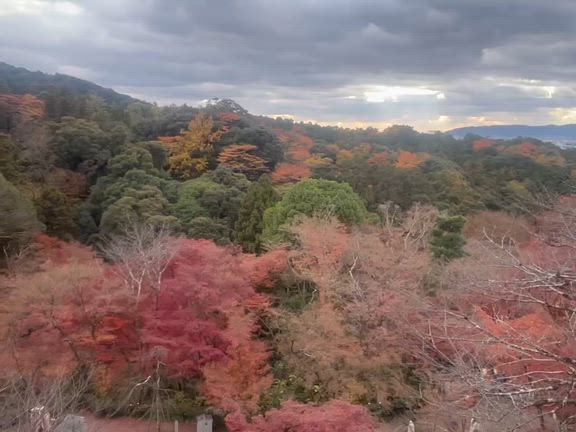 2025/12/18の記事動画