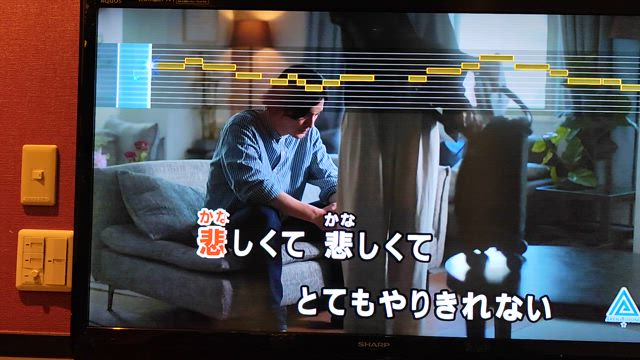 カラオケ・プランター栽培の記事動画