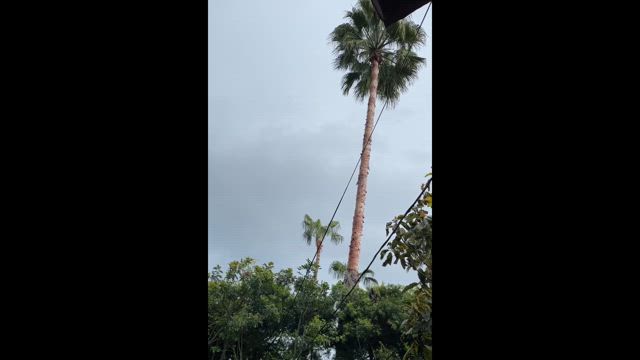 騒動には一切触れずドジャース・ゲームは始まるの記事動画