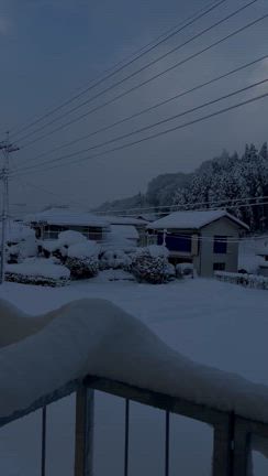 昭和村二日目の記事動画