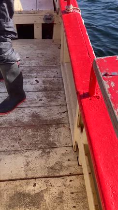 11.30日りき丸キャスティングの記事動画