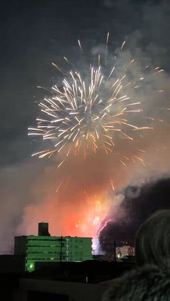 秋の花火の記事動画