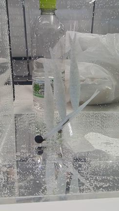 群れの存在感！既存の枠を超えた新ジャンル登場！！の記事動画