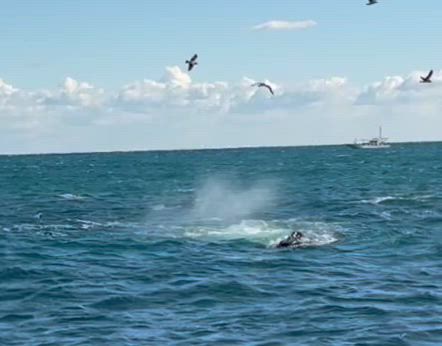 明日25日(日)空いています！の記事動画