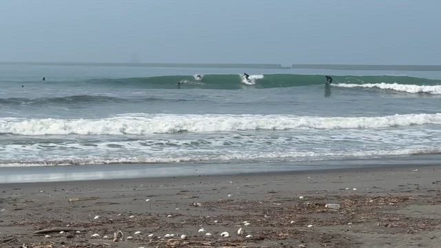 浜厚真　９時５０分の記事動画