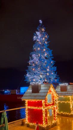 函館で豪華クリスマス旅行✨の記事動画