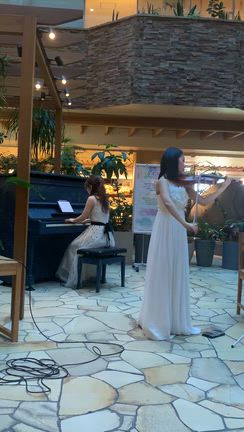 ヴァイオリンとピアノのコンサートの記事動画